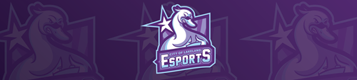 Esports banner with icon- Decorative element