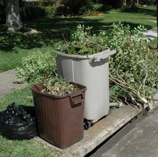 yard waste containers at curb