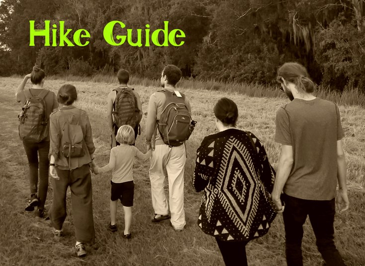 people hiking on trail