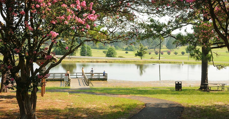 Lake view with dock