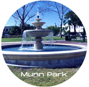 Munn Park button