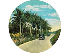 Road to Lakeland button