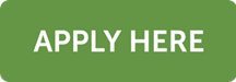 apply here button