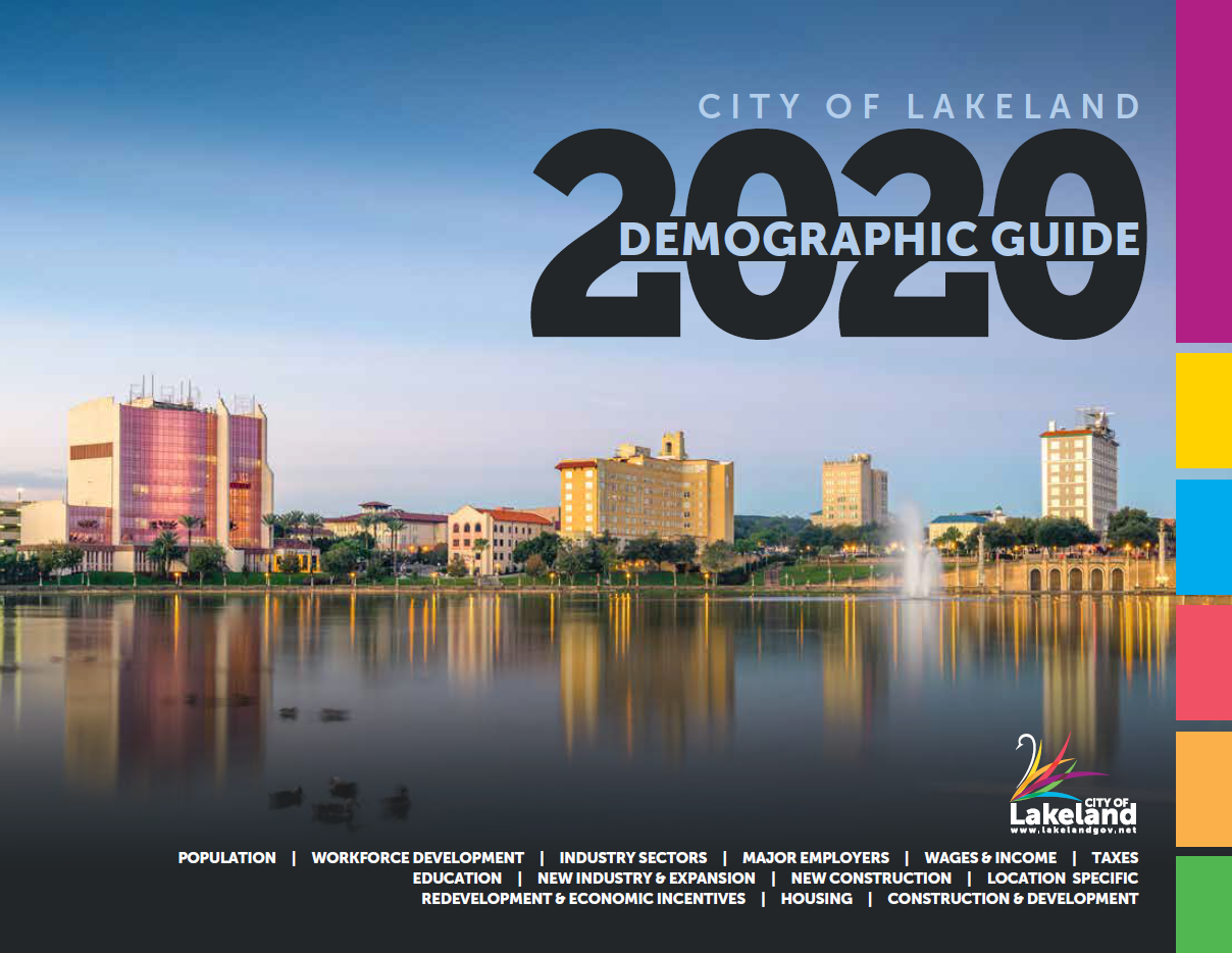 2020 Demographic Guide Cover