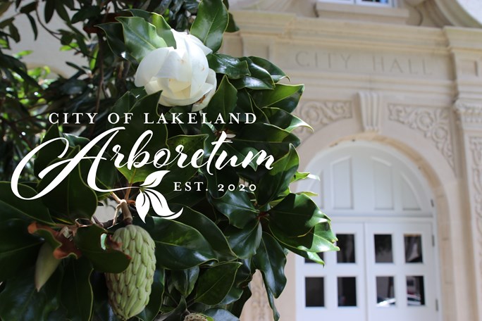 Text: "City of Lakeland Arboretum, Est. 2020" on top of the image of a magnolia tree in front on City Hall