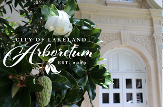 Lakeland Arboretum flowers with City Hall in Background