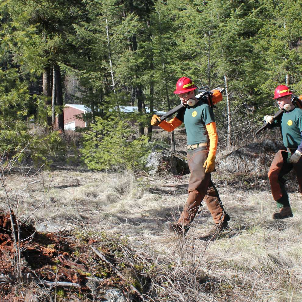 Students walking in forrest