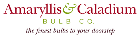 Amaryllis & Caladium Bulb CO logo