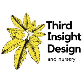 Third Insight Design and Nursery logo