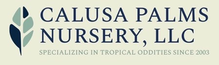 Calusa Palms Nursery, LLC  logo