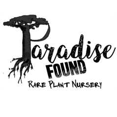 Paradise Found Rare Plant Nursery