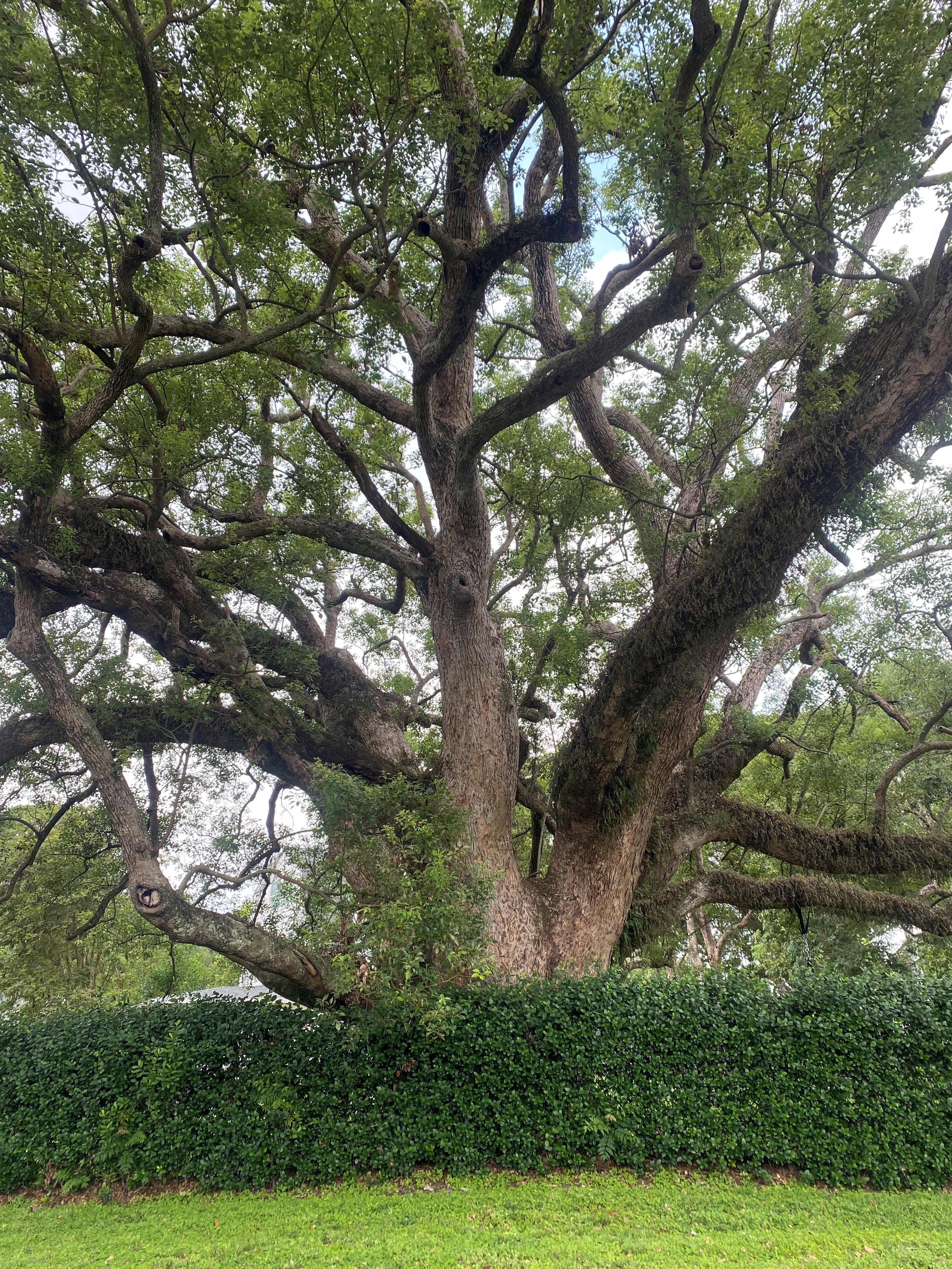 Lake Miriam Neighborhood is full of beautiful and mature trees.