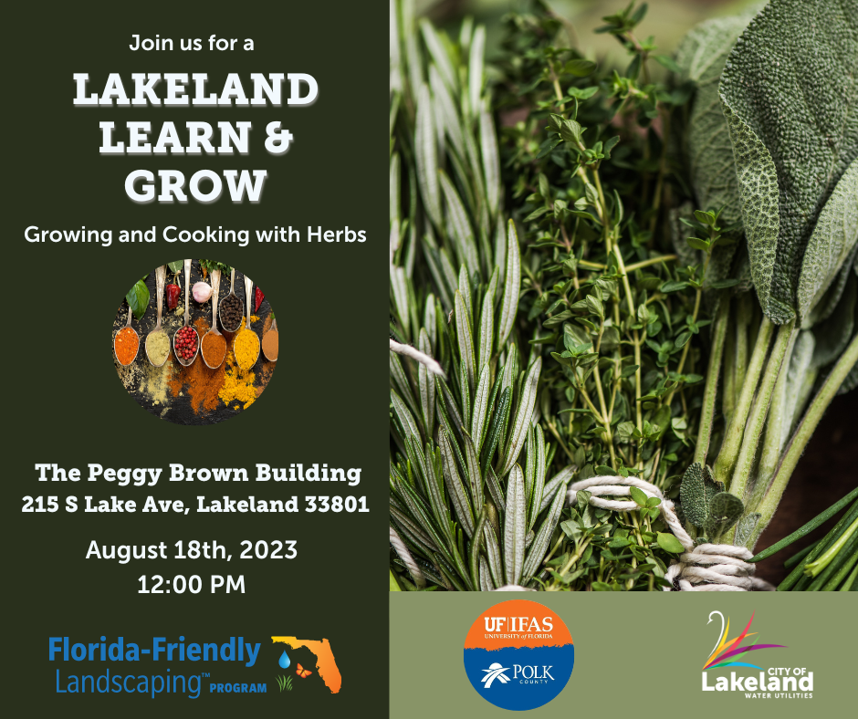 Lakeland Learn & Grow Growing and Cooking with Herbs City of Lakeland