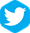 Twitter Icon