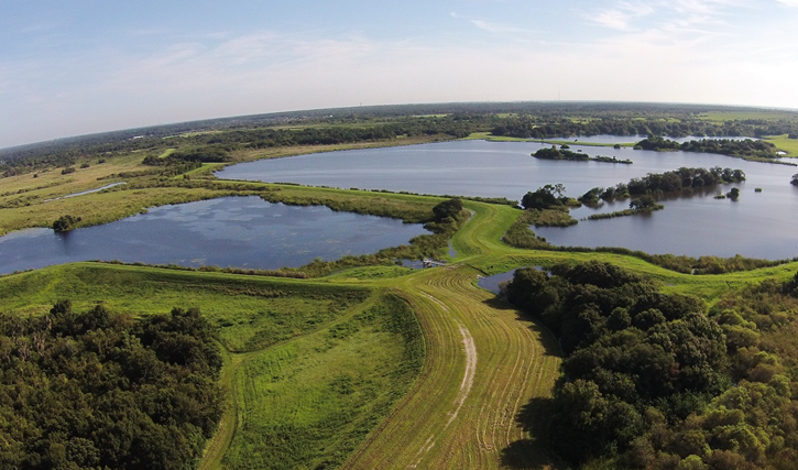 Wetlands Photo