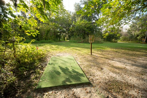 Holloway Park Disc Golf Hole 1 Photo