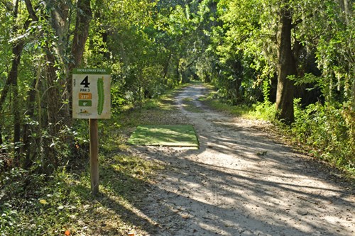 Holloway Park Disc Golf Hole 4 photo