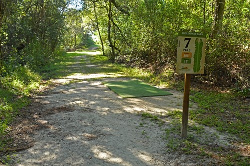 Holloway Park Disc Golf Hole 7 Photo