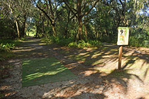 Holloway Park Disc Golf Hole 9 photo