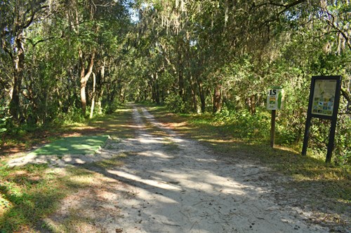 Holloway Park Disc Golf Hole 15 photo