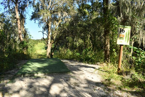 Holloway Park Disc Golf Hole 16 photo