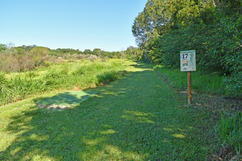 Holloway Park Disc Golf Hole 17 photo