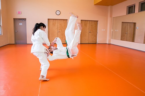A photo of two adults sparring