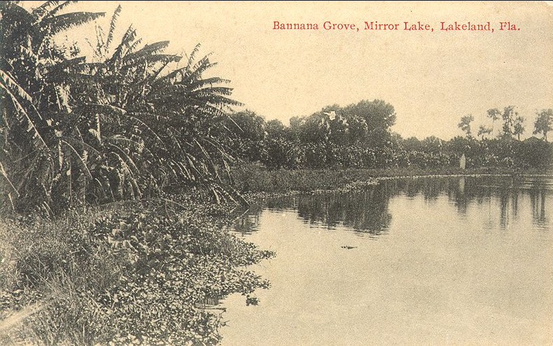 Lake Mirror in Lakeland, Florida before the Promenade was built in 1925. A banana grove is visible on the left side; link to "Lakeland and Its Lakes" Flickr album