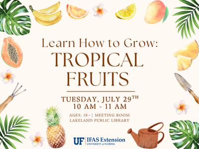 Illustrated watercolor tropical fruits, gardening tools, and fronds surrounding text "Learn How to Grow: Tropical Fruits; Tuesday, July 29th, 10 AM-11 AM; Ages 18+, Meeting Room, Lakeland Public Library" with UF IFAS Extension logo; link to library events calendar