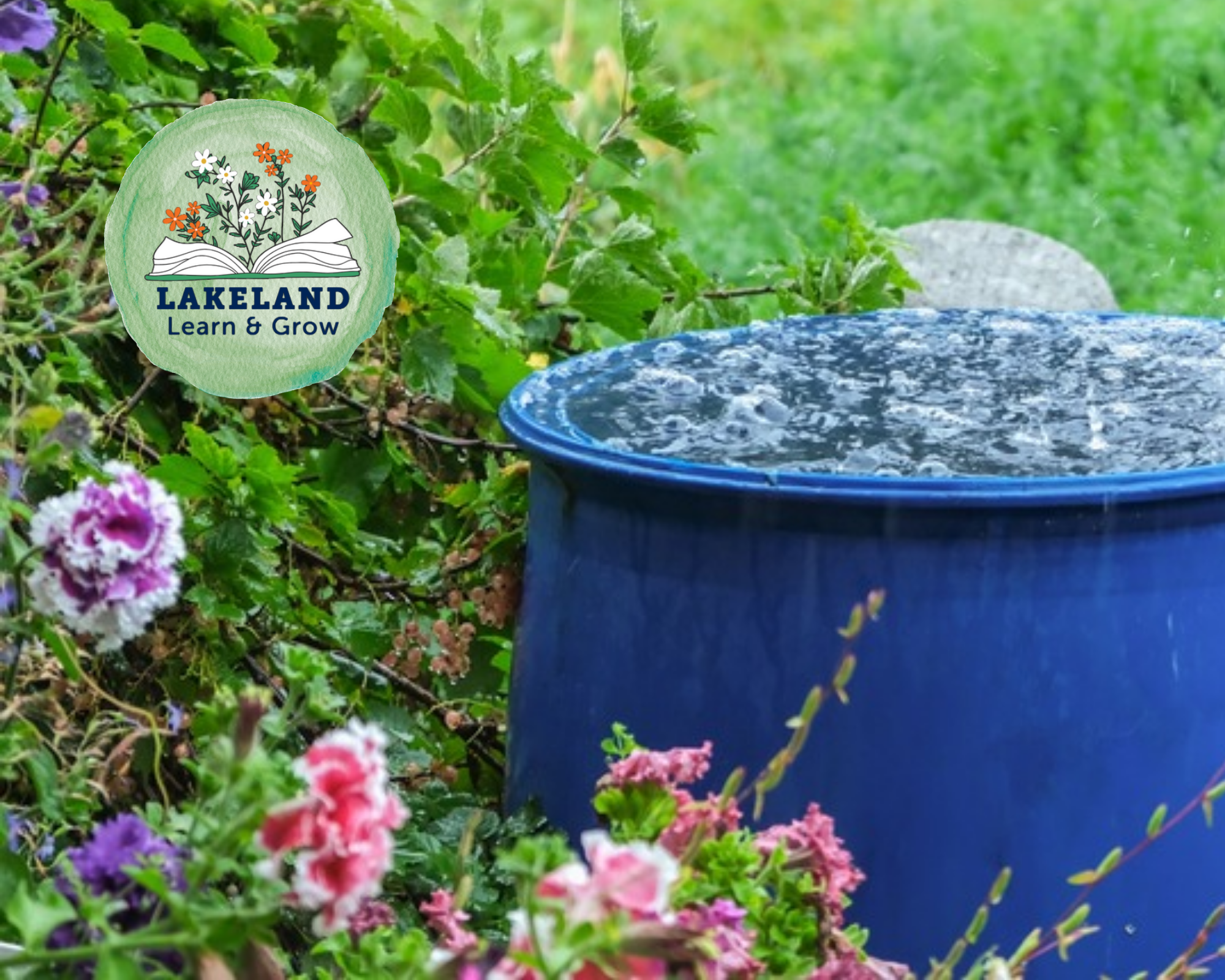 Rain barrel filled with water. Lakeland Learn and Grow logo with open book and flowers.