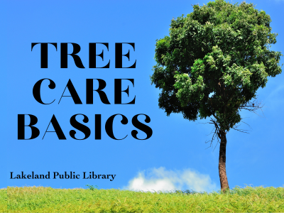 Tree in open field with blue sky background and text Tree Care Basics, Lakeland Public Library; link to library events calendar