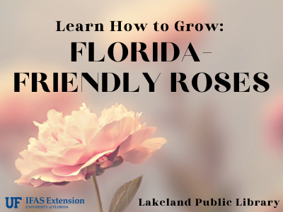 Blush-colored rose on blurred background with text "Learn How to Grow: Florida-Friendly Roses, Lakeland Public Library"; link to library events calendar