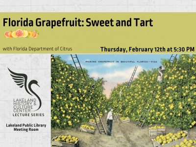 1960s postcard of workers harvesting grapefruit in a grove with an overseer watching below text "Florida Grapefruit: Sweet and Tart with Florida Department of Citrus; Thursday, February 12th at 5:30 PM" and Lakeland History & Culture Center logo with text Lecture Series and Lakeland Public Library Meeting Room; link to Library events calendar