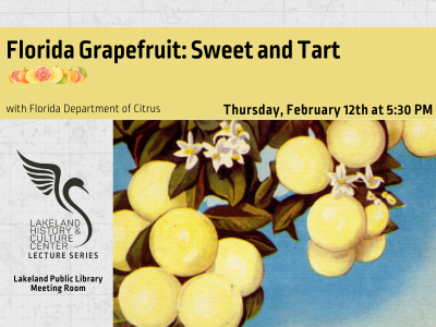 Circa 1900s postcard of a scene showing grapefruit and blossoms in Florida with text 