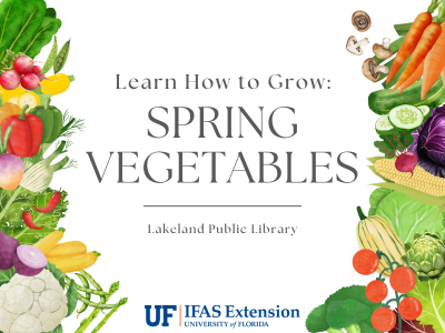 Illustrated watercolor vegetables surrounding text "Learn How to Grow: Spring Vegetables, Lakeland Public Library" with UF IFAS Extension logo; link to library events calendar
