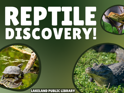 Photos of lizard, turtle, and alligator in bubbles with text Reptile Discovery! Lakeland Public Library