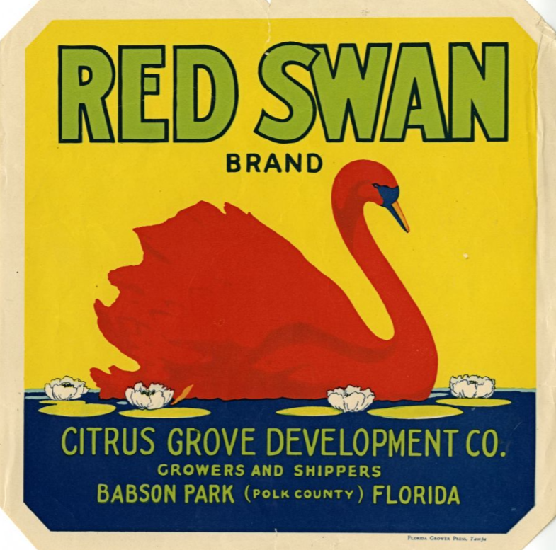 Circa 1920-1950s Florida citrus label for Red Swan Branch citrus growers and shippers out of Babson Park, Florida. The yellow label features a red swan swimming on a dark blue lake with yellow waterlilies.; link to contentDM "Florida Citrus Labels" collection