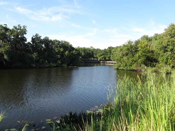 A picture of Peterson Park scenary