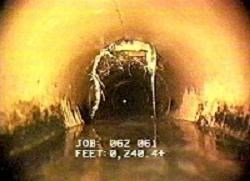 A photo of a a line after the roots have been cut away