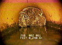 A photo of roots blocking the inside of a pipe