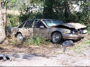 Derelict Vehicles Photo