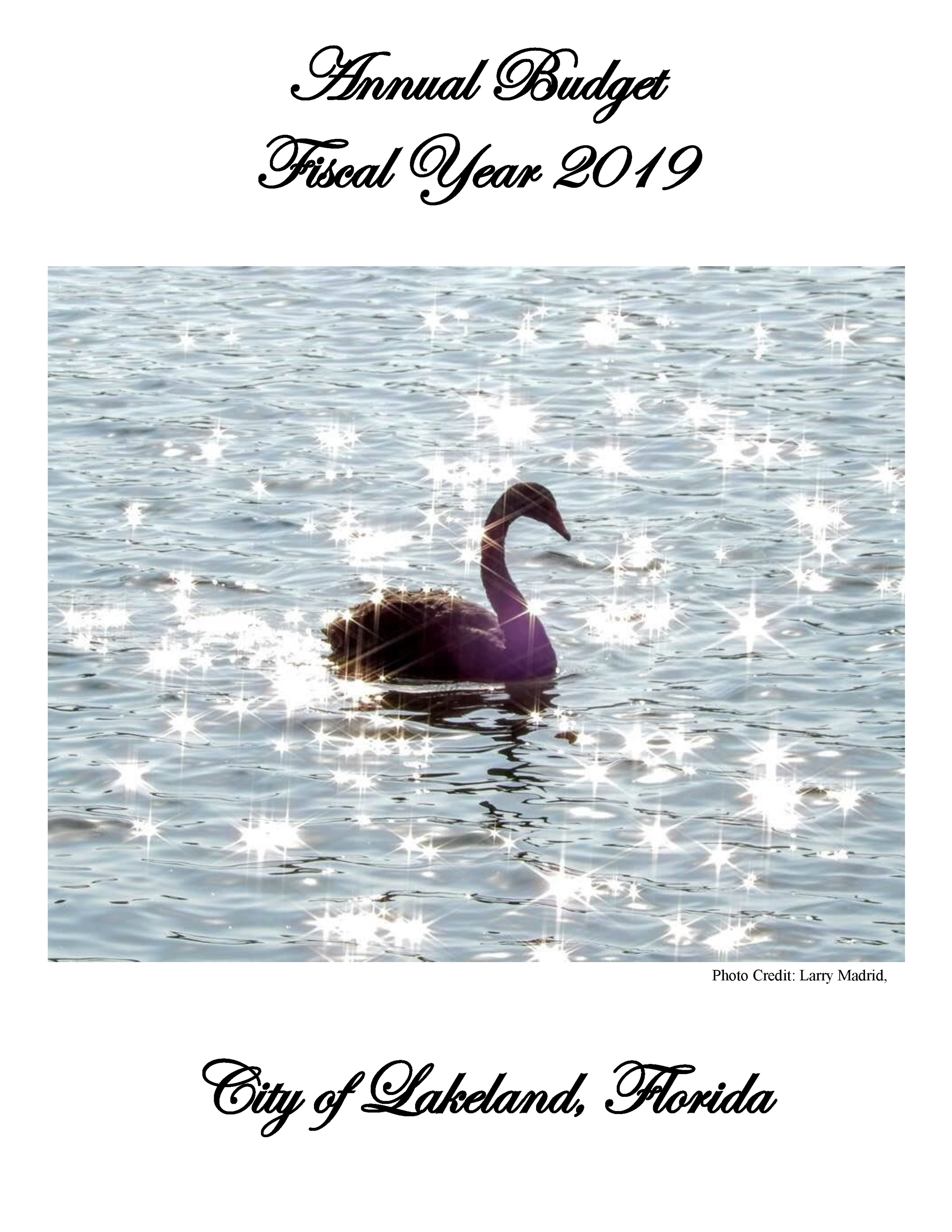 annual budget city of lakeland