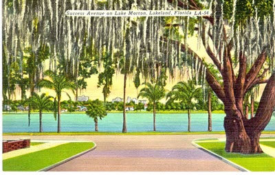 A picture of Lakeland and Its Lakes
