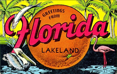 1940 commercially produced postcard showing the natural resources of Florida, including an orange, palm trees, flamingo, pelican, and fish.; link to "Greetings From Lakeland" Flickr album